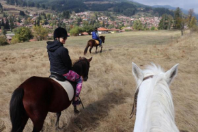 Dona Guest House - Horse Riding